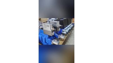 Proportional Valve for Injection Molding Machine 