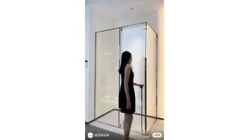 VK-P731 Pivot Door