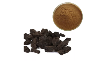 Polygonum multiflorum extract