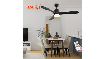 Fan ceiling light