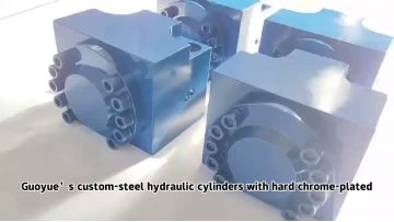 165 120-10.5 ODM OEM Hydraulic Cylinder