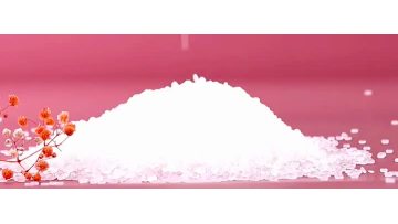polypropylene PP