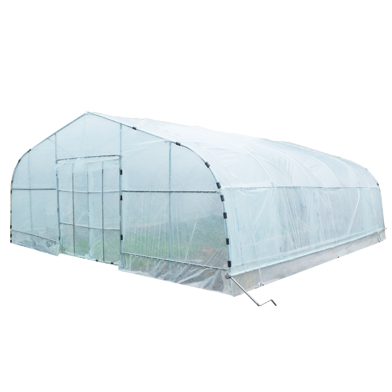 Tunnel Greenhouse 1