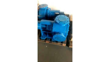NYP Stainless Steel High Viscosity Internal Rotor Gear Pump For High Viscosity Drug And Chemical Products1