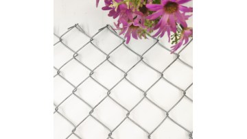 Glavainized Chain Link fence