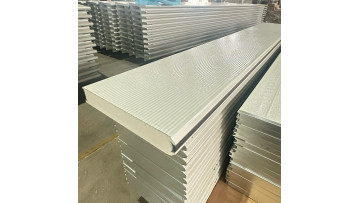 Prepainted RAL Color Steel for Gragae Door