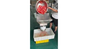 ST-SD204 Tomato Crusher