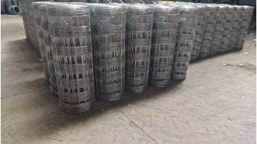 385dac0cf1ee8ad5176a7099df237f35