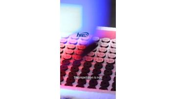 Huawha Buzzer Automatic Production Line Process
