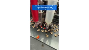 Video 15