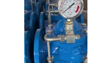 safety relief valve​