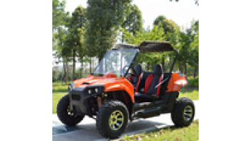 2200W-3000W Adult Electric UTV: Powerful Off-Road Experience1