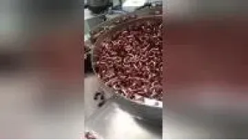 Efficient and Durable Ring Inserting and Loading Machine1