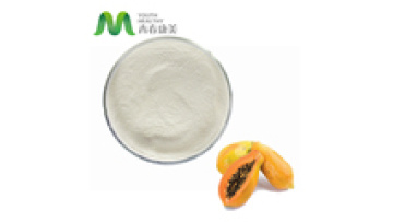 Papaya Extract Pawpaw Powder Papain Enzyme Powder at Low Price1