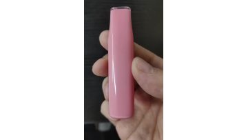 OEM MINI 600PUFFS