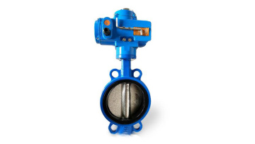 butterfly valve