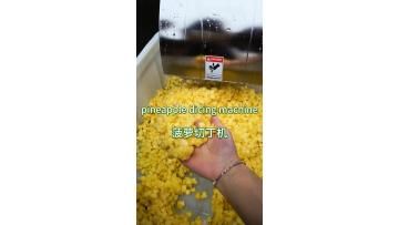 Pineapple dicing machine