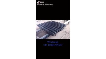 dong1