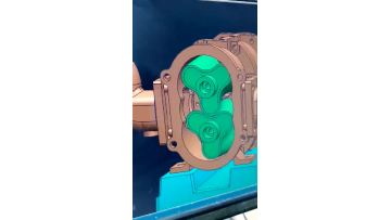 Food grade cam rotor pump1