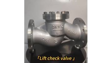 Stainless Steel Lift Check Valve