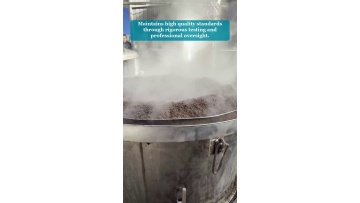 Video 17