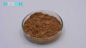 丹参提取物 1% 6