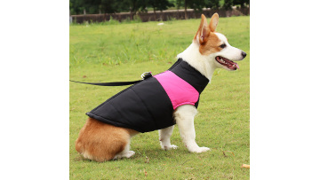 pet clothing cheap