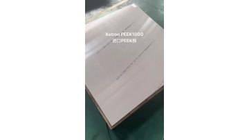 Ketron PEEK1000