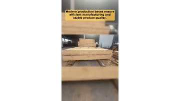Video 116