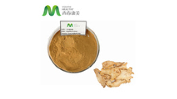 Best Selling China Product Angelica Acutiloba Root Extract1