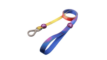 dog leash