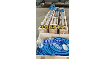 Stainless Steel Submersible Water Pump