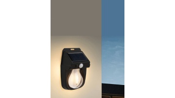 Motion Sensor Solar Garden Lights