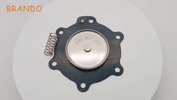 C113825 diaphragm membrane