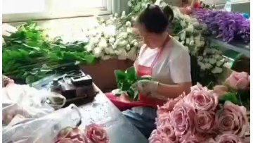 Home Decoration high quality single real touch velvet roses artificial velvet green rose flowers1