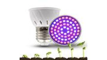 E27 Plant Lamp 2835SMD for Seedling and Vegetable Growth1