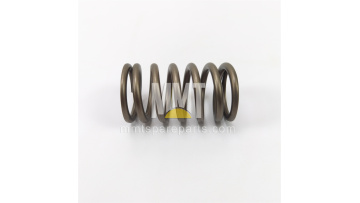 Valve Spring 316-5976