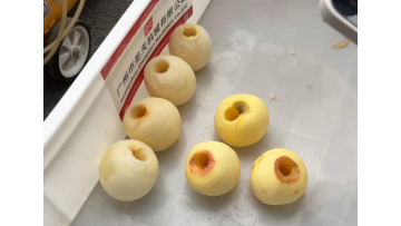ST-XL140 apple peeling and coring machine