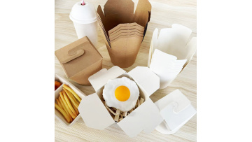 noodle boxes （2）