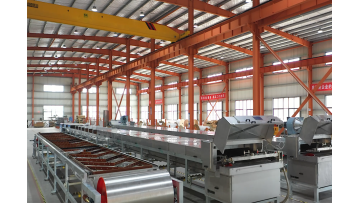 Melt granulation machine6