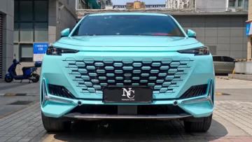 PL18-P Platinum Tanager Blue green
