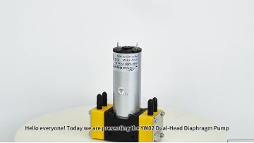 YW02 dual head miniature diaphragm pump