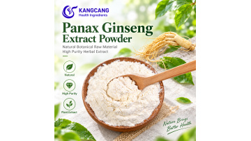 Bulk Nutraceutical Panax Ginseng 80% Ginsenosides Powder