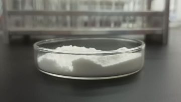 High-Purity Garcinia Cambogia Extract