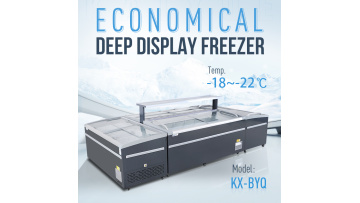 island freezer production line1