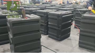 20250919-Rugged case