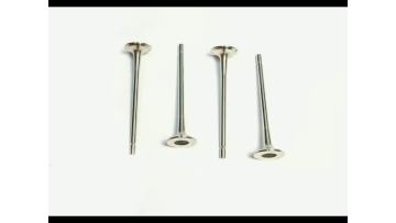 7701473354 Exhaust Valve for Engine