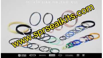 Hydraulic seal (14)