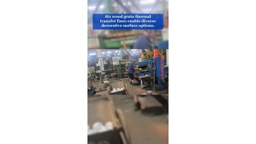 Video 25