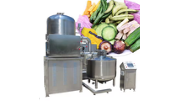 Vacuum Fried Chips Manufacturers: Vacuum Deep Fryer with De-Oiler for Fried Chicken1